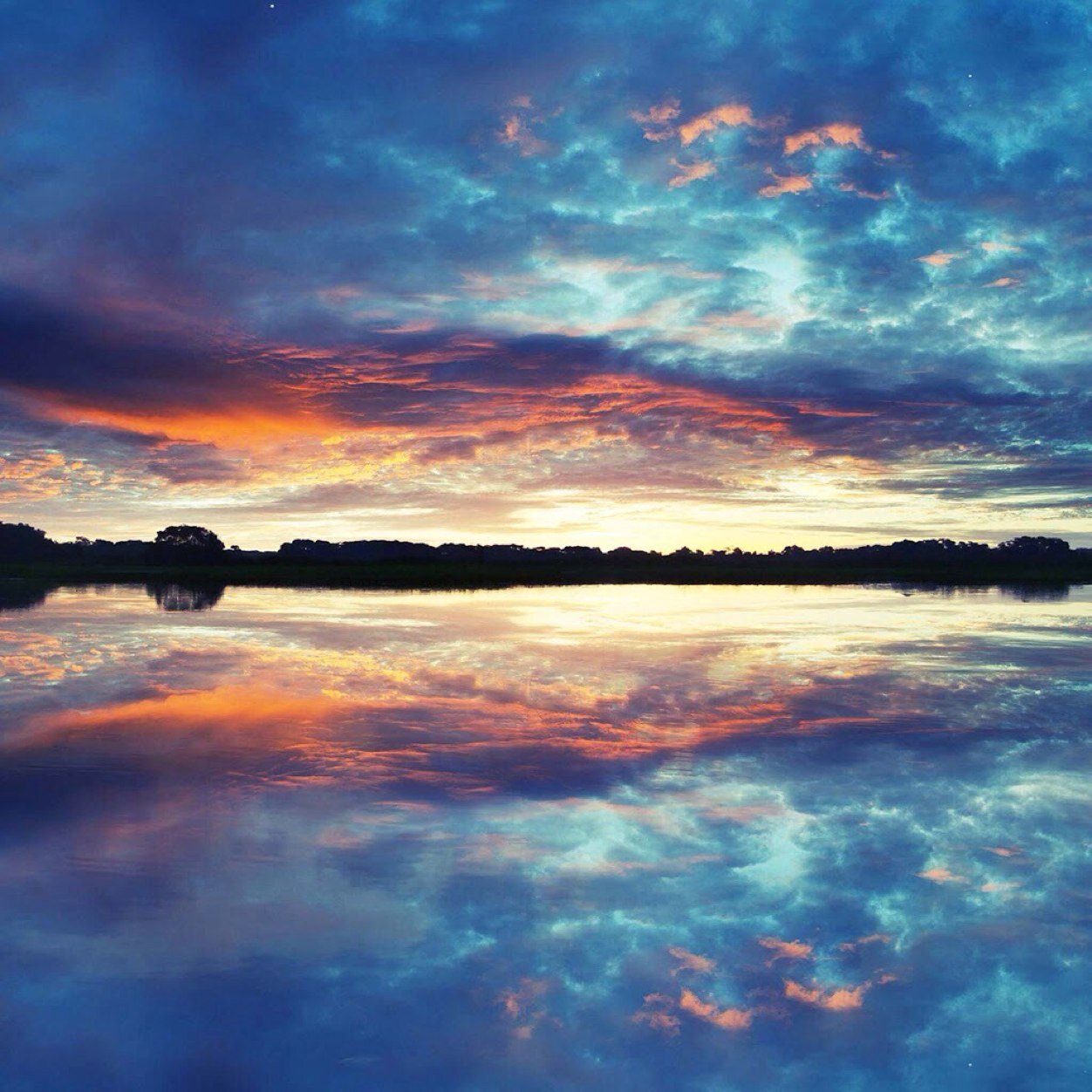 barista28's profile picture. 