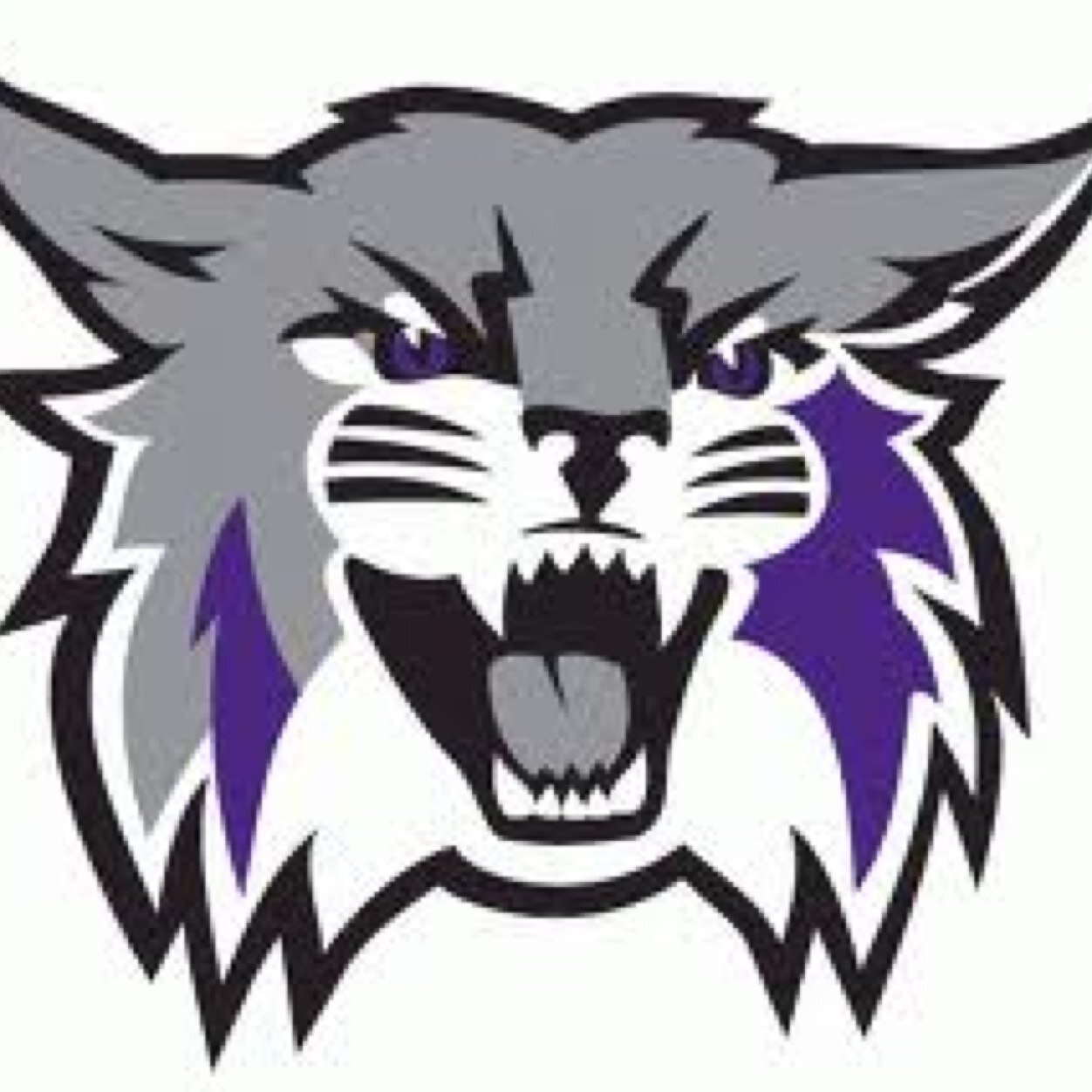 wildcatwmnhoops Profile Picture