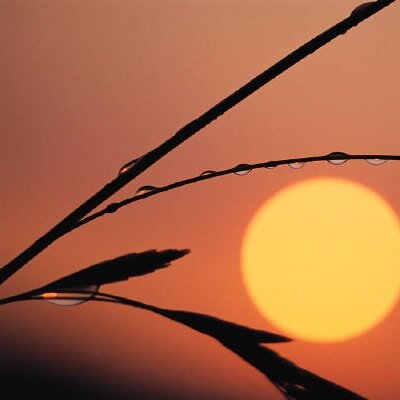 When you change the way you look at things, the things you look at change.