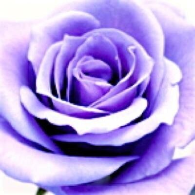 日々のつぶやきをぽちぽちと。音楽や海外ドラマなどテレビDVD鑑賞が趣味。 キャラクターものも好き☆よろしくお願いします