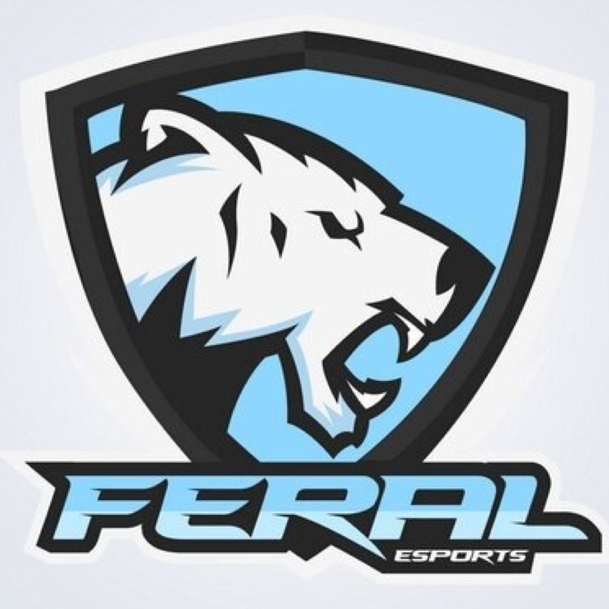 PS3 Competitive Team for @Feral_HQ | Roster: Thunduh | Revo | Blaztinq | TBD | Use Code 'Feral' for 5% on @NoScopeGlasses & @CinchGaming | #FeralFAM