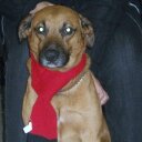 matthew pearsall - @pearsallmatt - Twitter