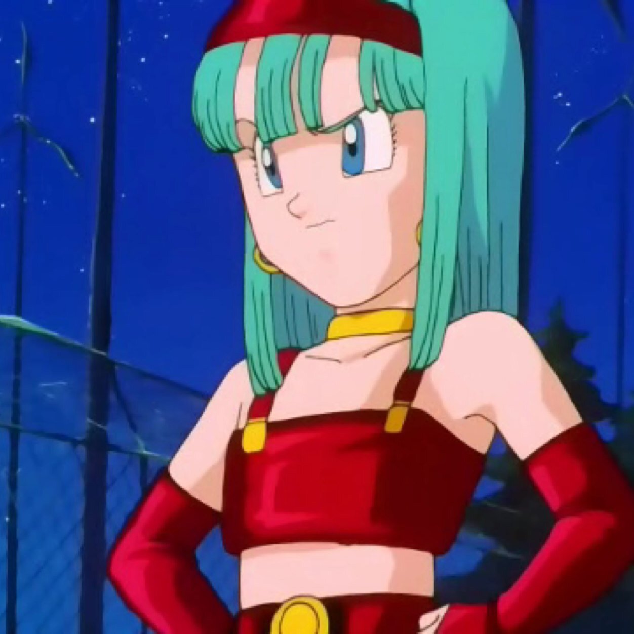 Hi I'm Bulla Briefs or you can me Bra! I'm the daughter of Vegeta and Bulma and my older brother is Trunks.#DBRP#Single