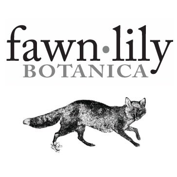 Fawn Lily Botanica