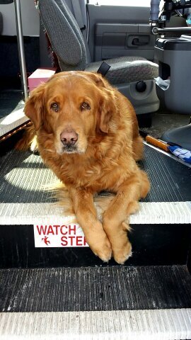 CheriNowicki's profile picture. 