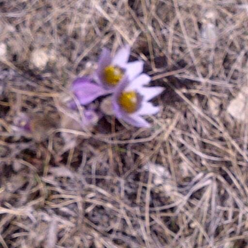 WeBeYYC's profile picture. Knitter, bibliophile, traveller, almost make it as a foodie,  passionate about social justice, native YYCer and fast swimmer