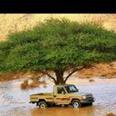 عبدالله مرعي (@591e026623504ee) Twitter
