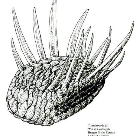 Kaavan's profile picture. вслух