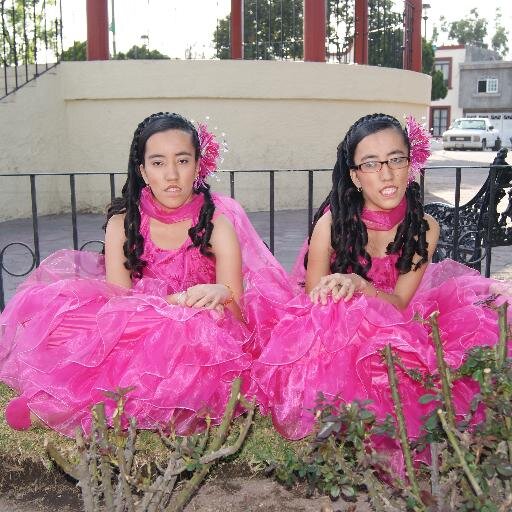 reneperzabal's profile picture. 