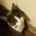 Helen wakefield - @atticus194 - Twitter