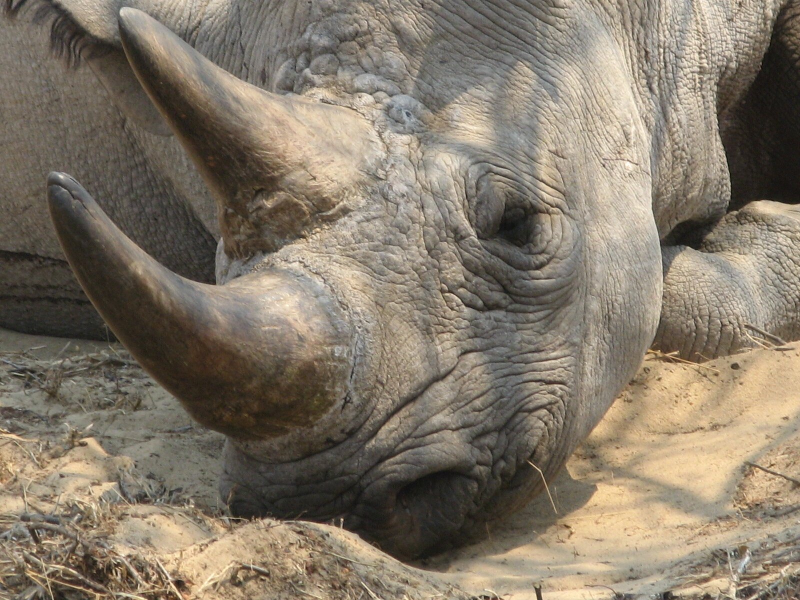 JPierreDmarc's profile picture. Those are not my words... so feel free to make them yours.