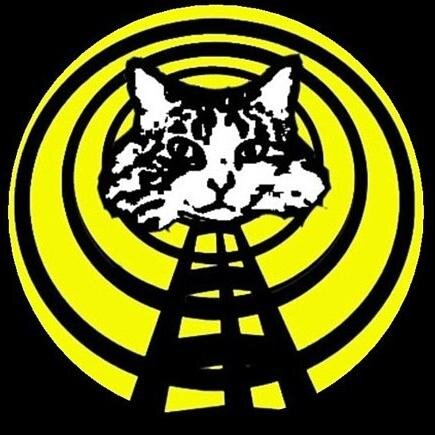 FatCat Radio plays music by unsigned and independent rock and blues artists. As heard in over 110 countries around the world since 2001.