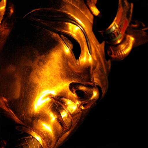 harakhut's profile picture. Urban planner (Egypt Core & Shell)