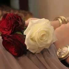 AAnyn777's profile picture. ‏‏‏‏‏​هُناكَ اشياءً تنتهّي مُبكرًا لكننِا نعِيشُهامَ بينْ كِتابة وُ حلِم وَامنِيةً . الاحترام هوا منبعي