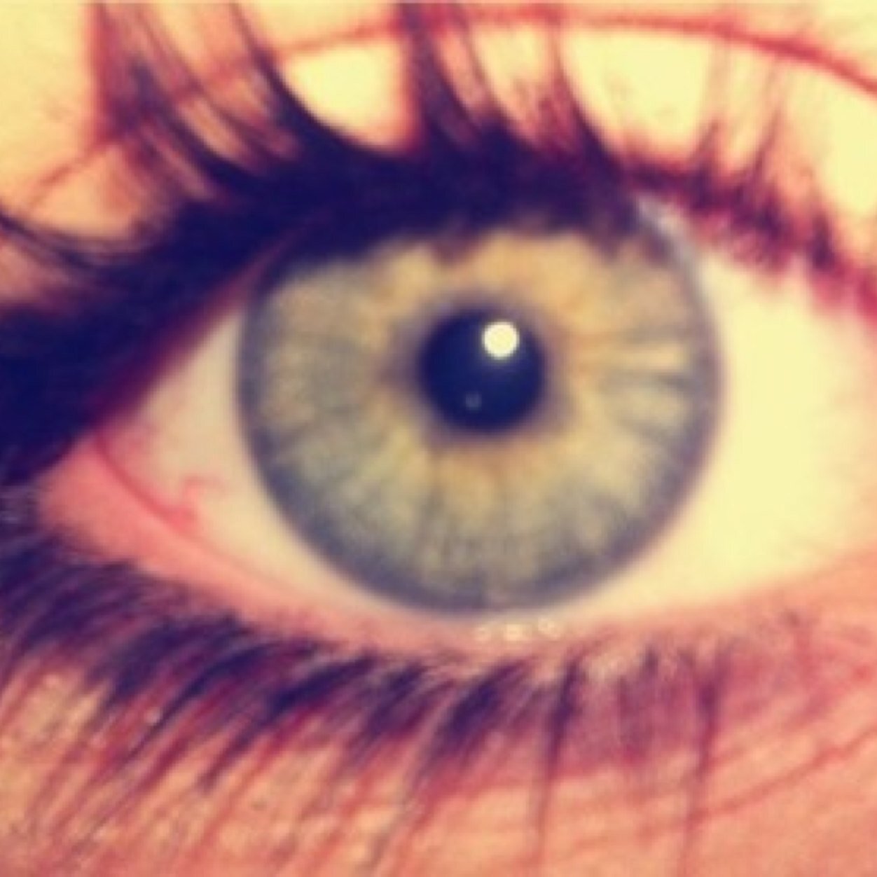 GermanMunchkin's profile picture. Author of a Danny, Calhoun, Peter, Gabe and various others. Come chat with me, I love talking :P