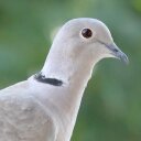 Marlene Schultz - @MarleneSchult12 - Twitter