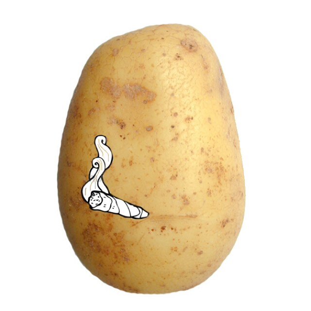 Baked since 'nam.   bakedpotatopics@yahoo.com