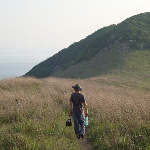 프로날라리 직딩