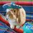 HumphreyBunny's profile image