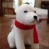 へっつい漢字で書けません🏳️‍🌈🇵🇸🇺🇦 (@glico71) 's Twitter Profile Photo