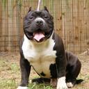 Robyn Frederick - @silversapphire1 - Twitter