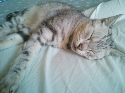 ユウジ💩🧚‍♀️ on X