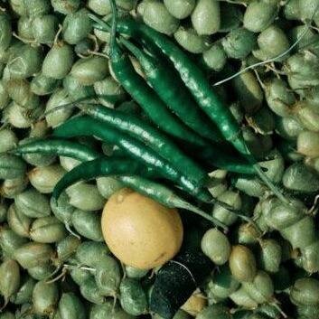 nayakganeshb's profile picture. Design Consultant