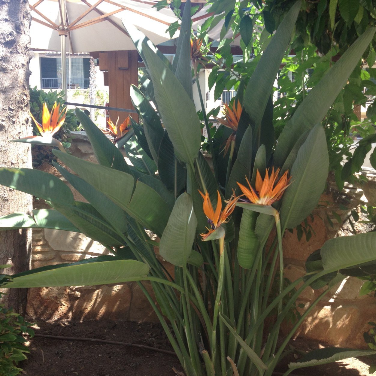 NAkathiotis's profile picture. Private Investor