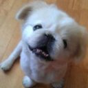 Dora Wu - @Dorawu0625 - Twitter