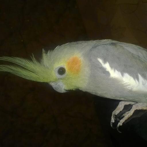 vitamin226_Kuzy's profile picture. Простой человек!!!