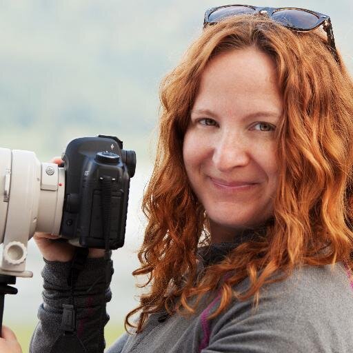 Photographer for istockphoto and Getty Images.  Background in natural resources conservation.