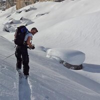 Ben Bradford (@vert_frontiers) 's Twitter Profile