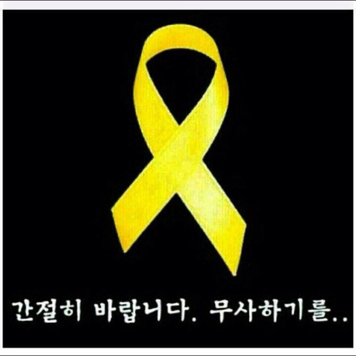 Michael5fm's profile picture. 