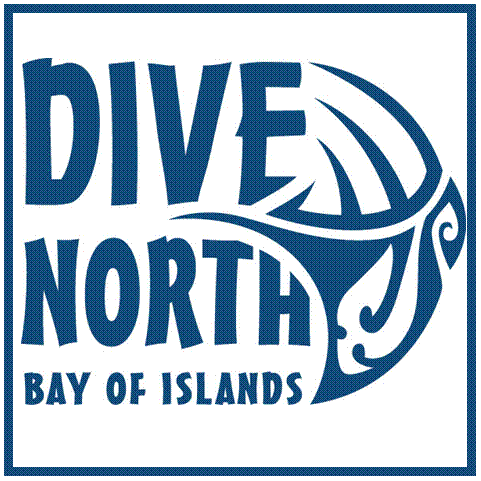 The Bay's only SSI & PADI dive centre. Covering the Bay of Islands, (Paihia & Kerikeri).  Rainbow Warrior & Canterbury tour specialists.
0800 DIVE NORTH