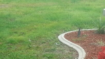 rmarton46's profile picture. Infection Control expert, Pre-/Post- disinfection testing and evaluation. Specializing in Law Enforcement/Corrections