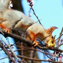 Peter Tran - @ttvinhcntt - Twitter