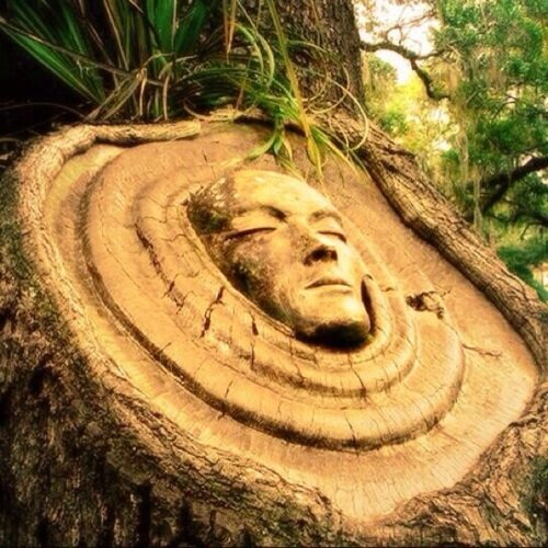 BrownCrowDrKURI's profile picture. ロックバンド『BrownCrow』でドラム叩いてます☆