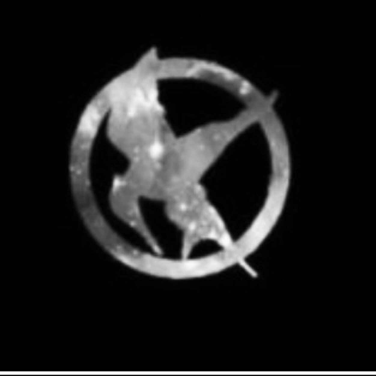 I love THG I will post things You will Love about THG  thank you for reading An May The Odds Be Ever In Your Favour.