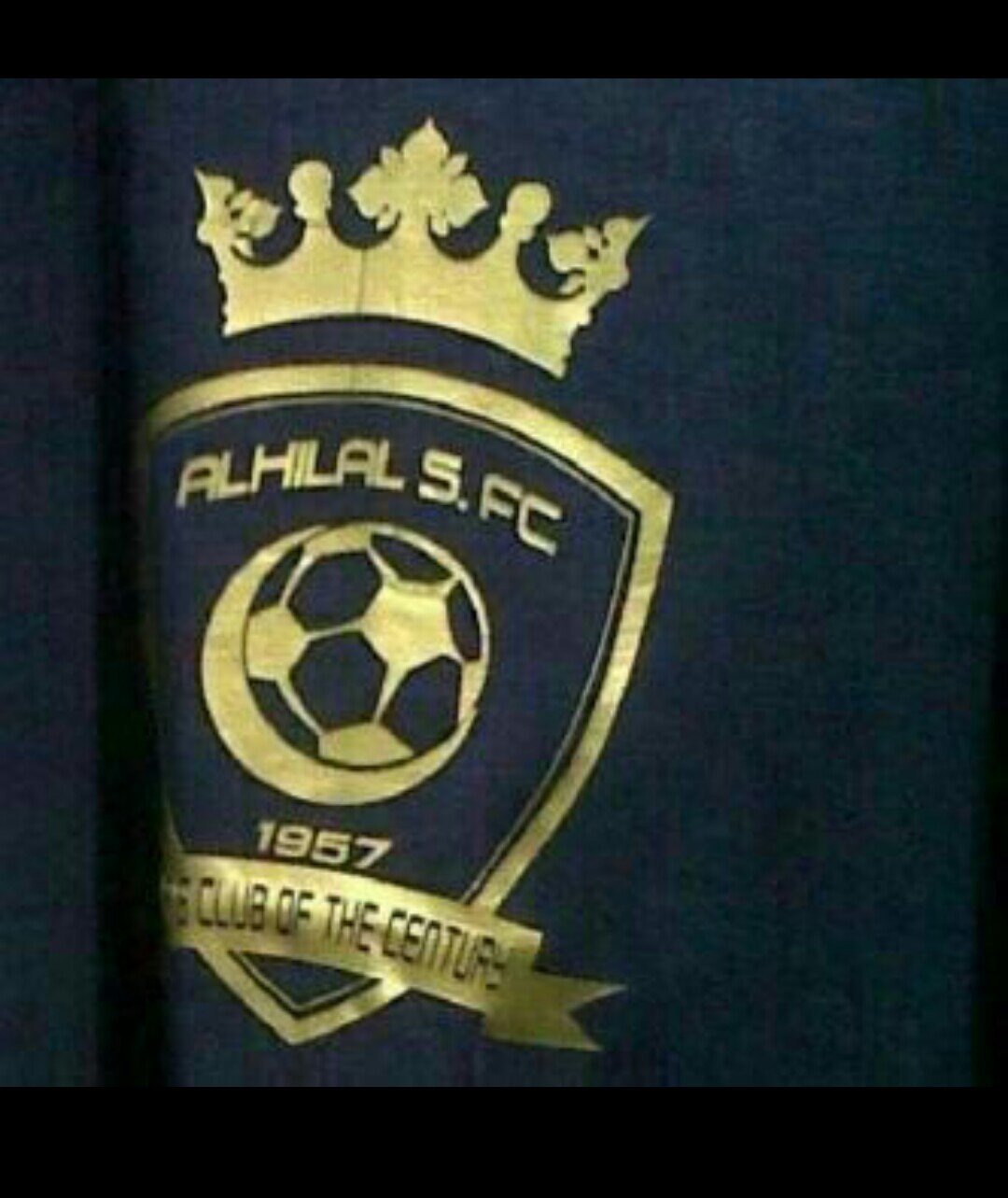 alish44444's profile picture. 