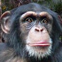 Vincent Moro - @Vincent_Moro - Twitter