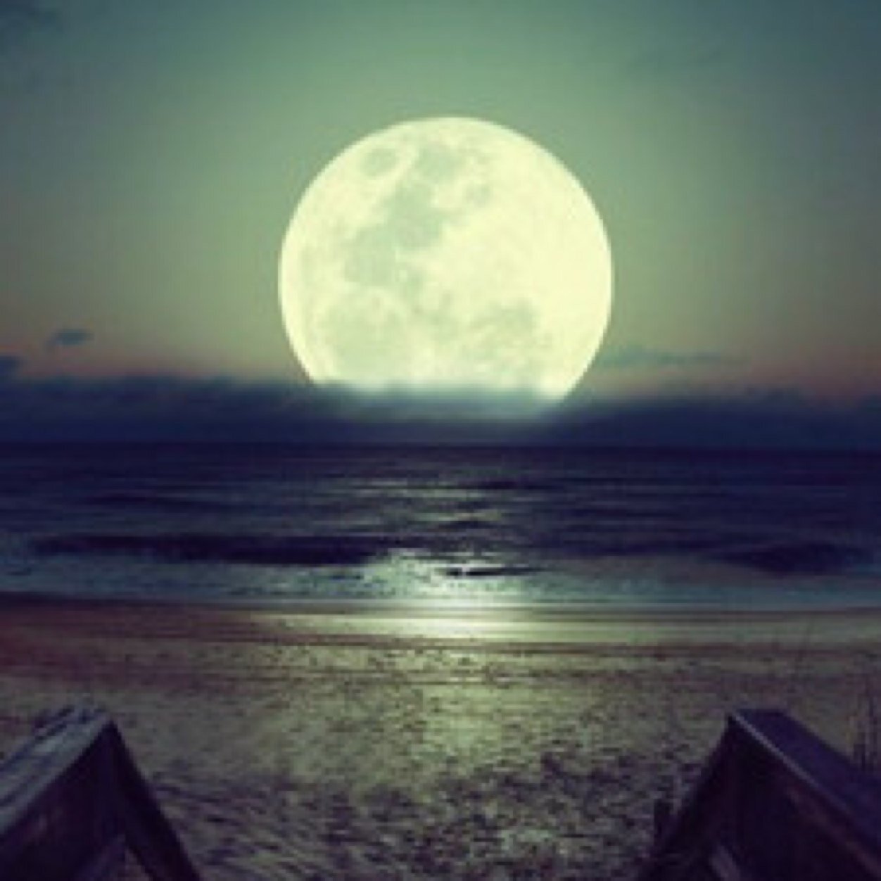 neegoo15's profile picture. قل معي ااستغفر اللہ : ** الذي لا الہ االا هو الحيّ القيوم و ااتوب إليہ / لعل هذا الحساب يشفع لي بعد موتي @nego15n