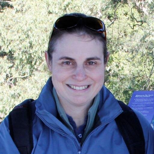 Travel Blogology will provide a curated directory of travel bloggers.  Anne can also be found at @pretraveller