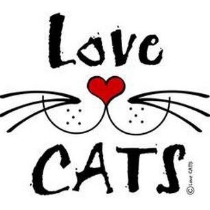 Lovecats World Lovecatsworld Twitter Lovecats World Lovecatsworld Twitter