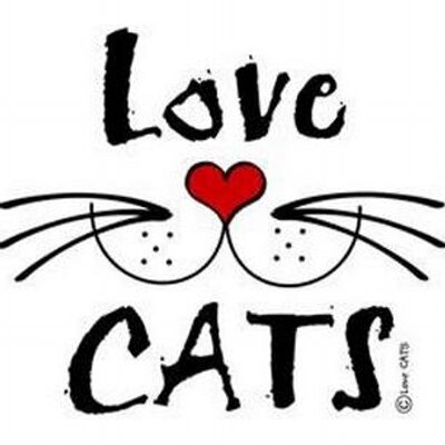 Download LoveCATS World (@lovecatsworld) | Twitter
