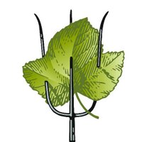 Hay Shed Hill Wines (@hayshedhill) 's Twitter Profile