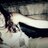noemi22sarco's profile image