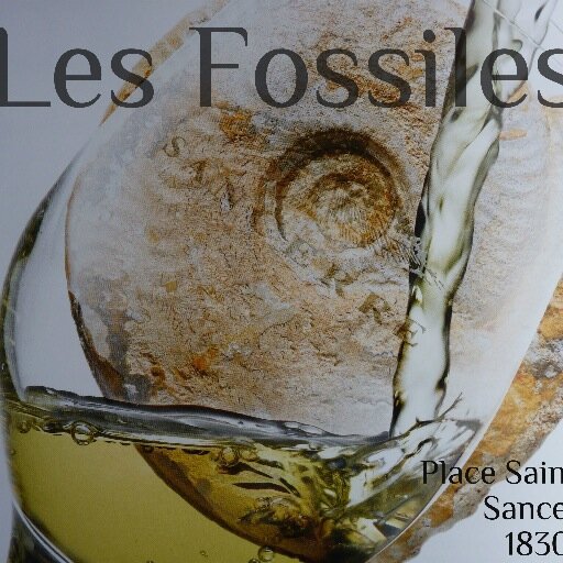 DrinkSancerre's profile picture. A wine cellar, wine bar, cave-a-manger with a selection of French and especially Sancerre wines. Taste and compare and buy at cellar prices.