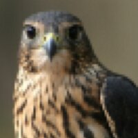 aljerodi (@aljerodi) Twitter profile photo