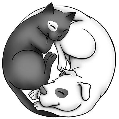Wir versenden im monatlichen Abo Überraschungsboxen an Hunde- und Katzenbesitzer.