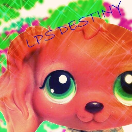 Youtuber, Animations, LPS, Stop Motion, Creator of LPS the series (Coming Soon)